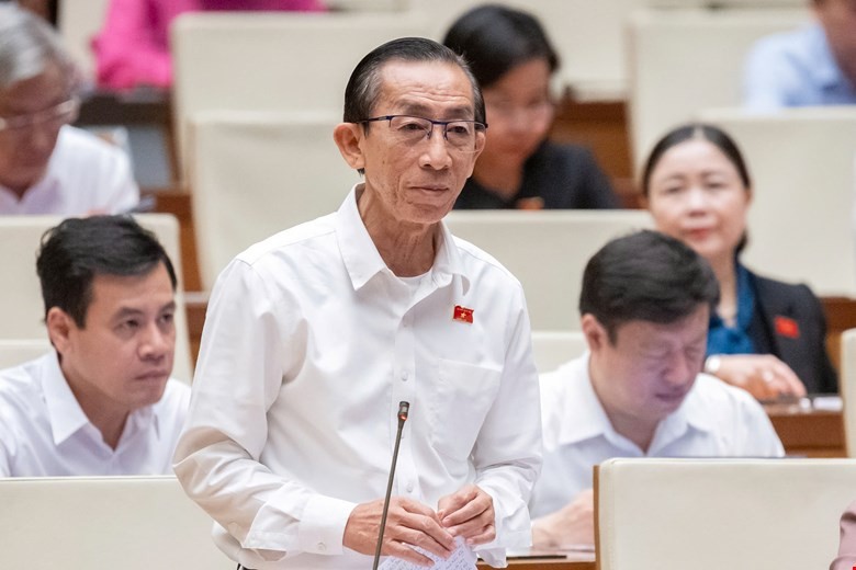 Đại biểu Trần Hoàng Ngân. Đại biểu Trần Hoàng Ngân.