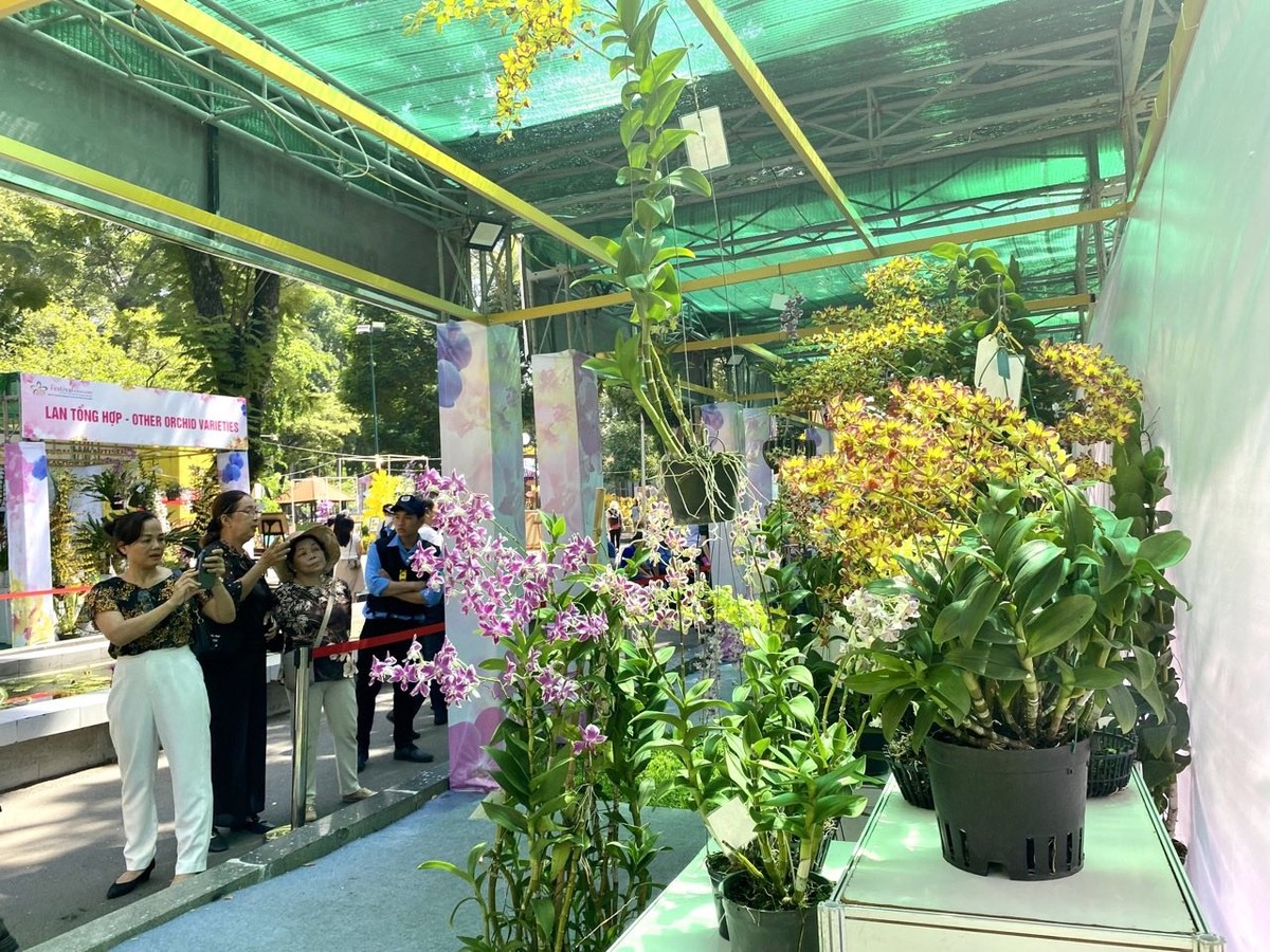 Qua đó, không gian tiểu cảnh hoa lan, hoa cây kiểng giới thiệu văn hóa đặc trưng của địa phương; khu giới thiệu các giống hoa lan, cây kiểng và phương pháp lai tạo… thu hút nhiều người dân đến tìm hiểu, thưởng hoa. Qua đó, không gian tiểu cảnh hoa lan, hoa cây kiểng giới thiệu văn hóa đặc trưng của địa phương; khu giới thiệu các giống hoa lan, cây kiểng và phương pháp lai tạo… thu hút nhiều người dân đến tìm hiểu, thưởng hoa.
