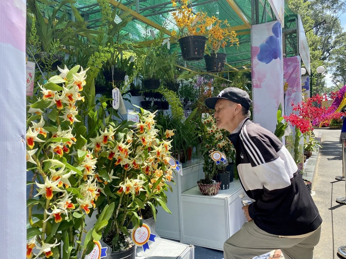 Ông Cát Phương, ngụ quận Bình Tân, TP.HCM cho hay, trong lễ khai mạc có Lãnh đạo TP.HCM và sự xác nhận tham dự của Tổng lãnh sự quán các nước như Thái Lan, Trung Quốc, Hàn Quốc… giúp Festival Hoa lan TP.HCM lần III thêm phần uy tín hơn rất nhiều. Năm nay, lễ hội cũng có rất nhiều hoa lan đẹp, lạ, đặc biệt là một người dân, tôi thấy rất vui khi tham quan tại đây. Ông Cát Phương, ngụ quận Bình Tân, TP.HCM cho hay, trong lễ khai mạc có Lãnh đạo TP.HCM và sự xác nhận tham dự của Tổng lãnh sự quán các nước như Thái Lan, Trung Quốc, Hàn Quốc… giúp Festival Hoa lan TP.HCM lần III thêm phần uy tín hơn rất nhiều. Năm nay, lễ hội cũng có rất nhiều hoa lan đẹp, lạ, đặc biệt là một người dân, tôi thấy rất vui khi tham quan tại đây.