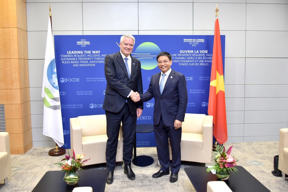 Bộ trưởng Bộ Tài chính Việt Nam Nguyễn Văn Thắng (phải) hội kiến Tổng Thư ký OECD Mathias Cormann. Ảnh: Huyền Anh.