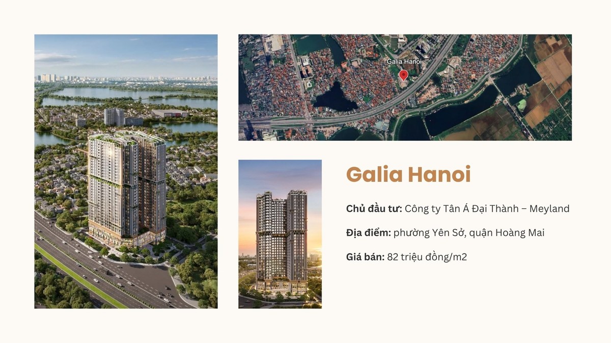 Galia Hanoi cũng đã được &quot;trình làng&quot; sau hơn một thập kỷ &quot;đứng hình&quot;.