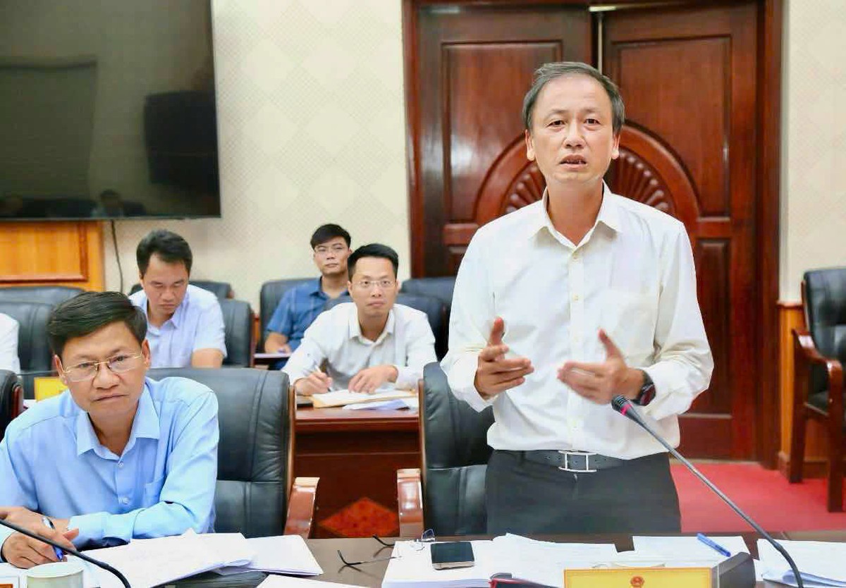 Phó chủ tịch UBND tỉnh Nguyễn Hùng Nam phát biểu tại cuộc họp.