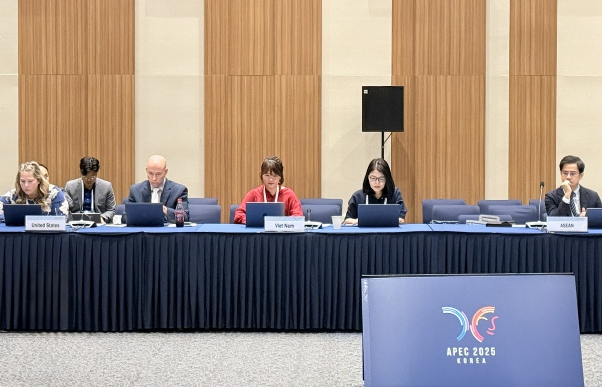 Đoàn Việt Nam tham gia cuộc họp. (Ảnh: Cục Hải quan)