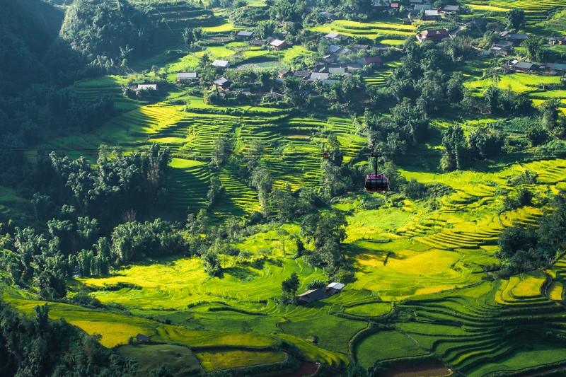 Mùa vàng rực rỡ ở Sa Pa thường bắt đầu từ cuối tháng 8 và kéo dài đến hết tháng 9. Những điểm ngắm lúa lý tưởng có thể kể đến thung lũng Mường Hoa, nơi được mệnh danh là “bức tranh thêu khổng lồ” của người H’Mông, với từng thửa ruộng uốn lượn mềm mại ôm trọn sườn núi. (Ảnh: Dương Quốc Hiếu)