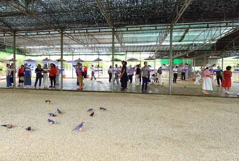 Du khách trải nghiệm tại Khu du lịch sinh thái Dũng Tân, Thái Nguyên. Ảnh: Nhật Hạ. Du khách trải nghiệm tại Khu du lịch sinh thái Dũng Tân, Thái Nguyên. Ảnh: Nhật Hạ.