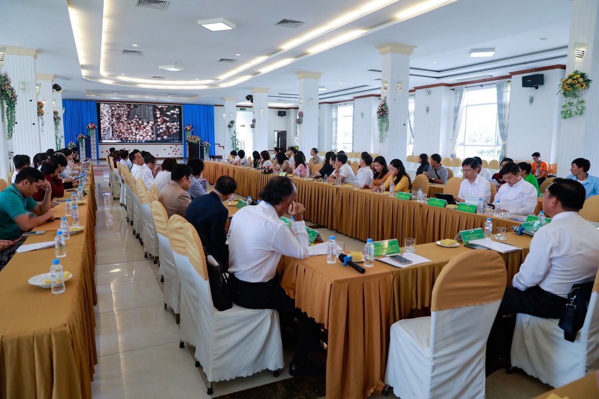 Quang cảnh Hội nghị. Quang cảnh Hội nghị.