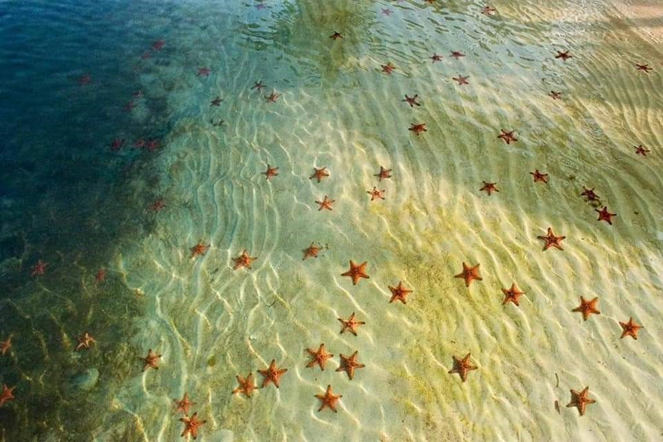 Rạch Vẹm đẹp nhất khi vào mùa khô Rạch Vẹm đẹp nhất khi vào mùa khô