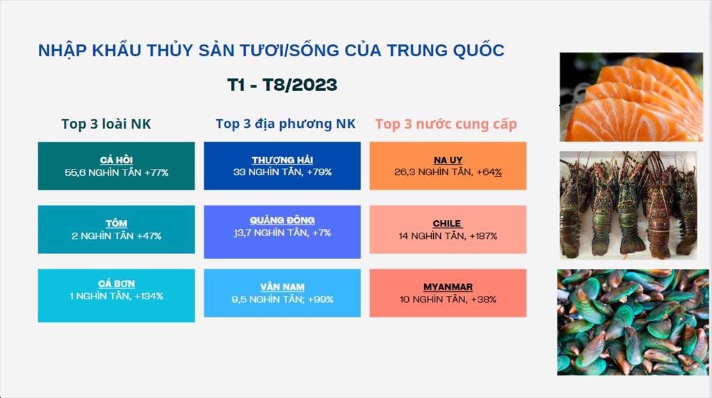 Ảnh: Vasep. Ảnh: Vasep.