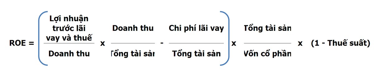 Goldman Sachs lưu ý nhà đầu tư cách nhìn khác về ROE ảnh 2
