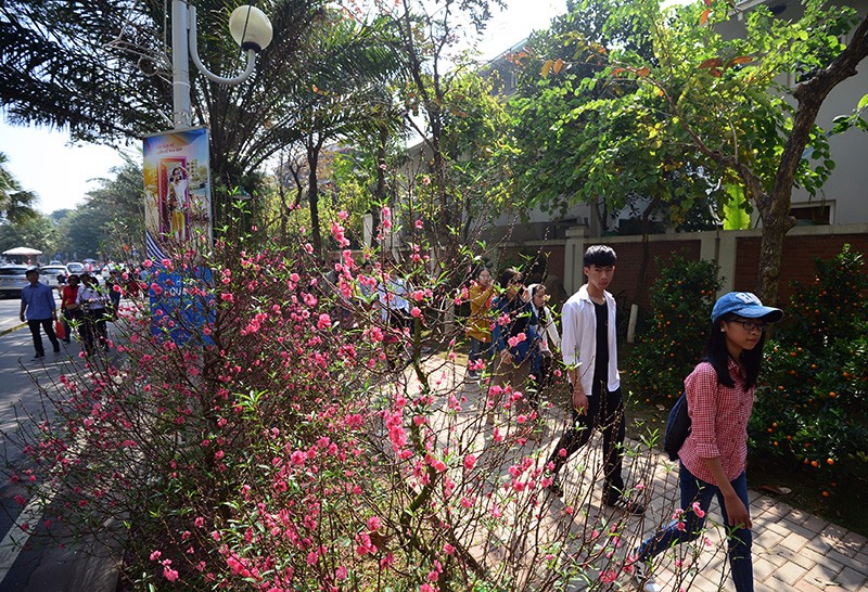 Không gian xưa được tái hiện trong khu đô thị mới ảnh 7