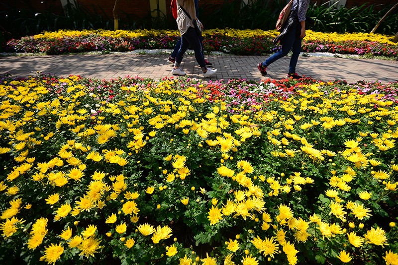 Không gian xưa được tái hiện trong khu đô thị mới ảnh 8