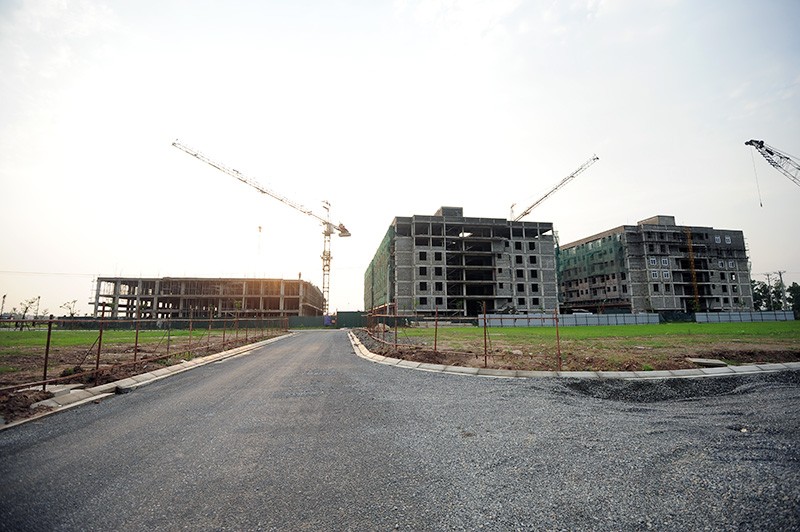 Phơi miến, chăn bò tại dự án đại gia “điếu cày” mới sắm ảnh 2