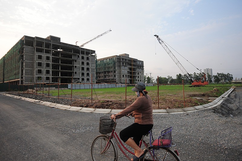 Phơi miến, chăn bò tại dự án đại gia “điếu cày” mới sắm ảnh 10