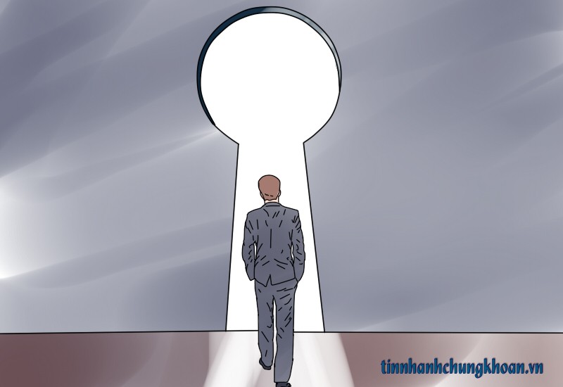 Quỹ ngoại không “tài” hơn thị trường ảnh 2