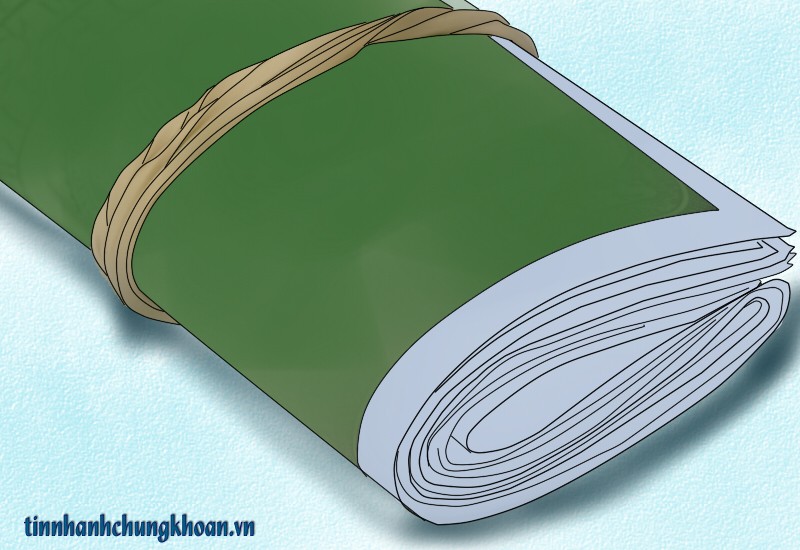 Với TPP, Việt Nam cần chính sách tỷ giá linh hoạt ảnh 2