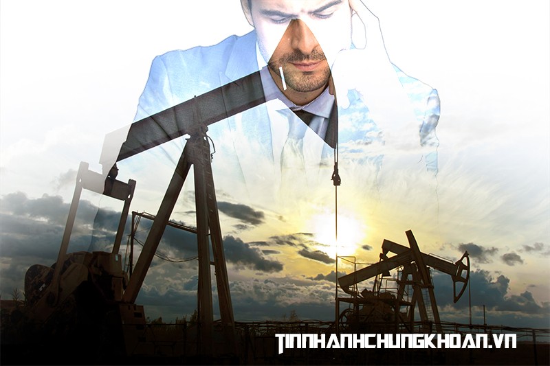 Cổ phiếu dầu khí trở thành tâm điểm ảnh 2