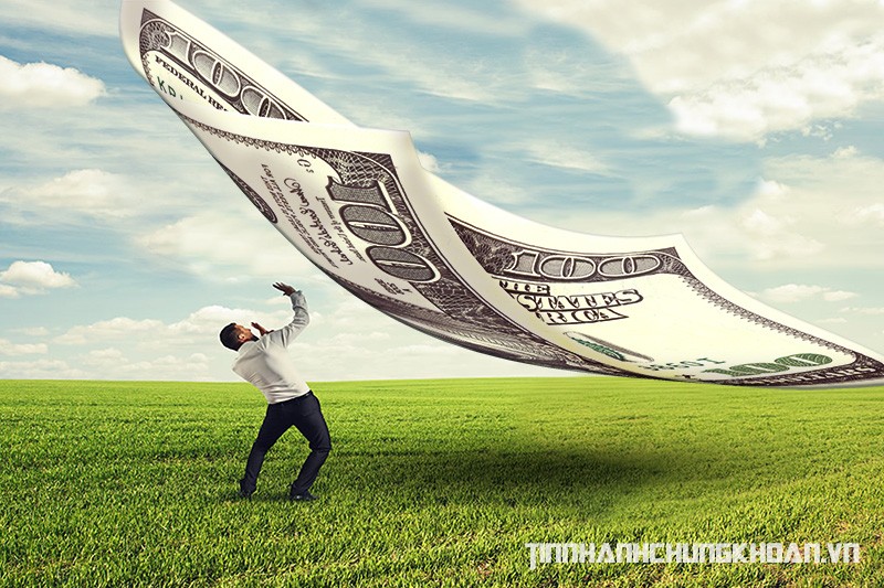 Lương thưởng CEO và nỗi lòng cổ đông ảnh 1