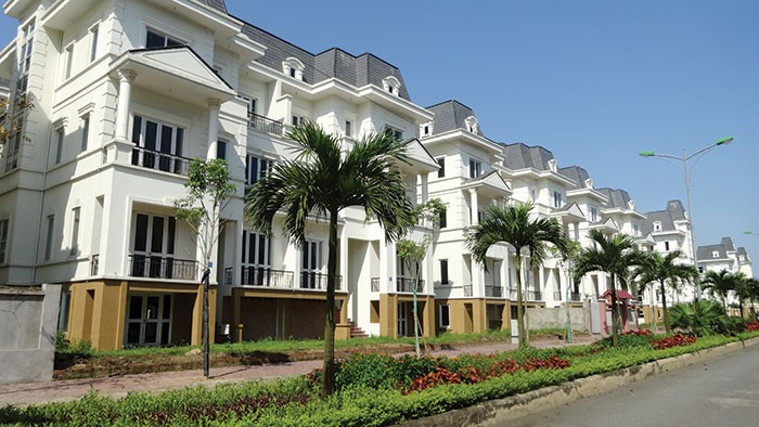 Chủ tịch Lideco: Mong nhất là đơn giản thủ tục hành chính ảnh 1