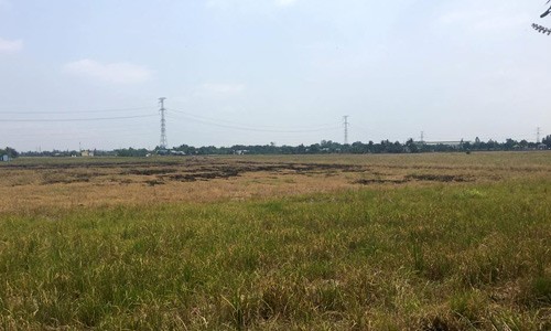 dat-nen-sai-gon-quay-dau-giam-gia-1