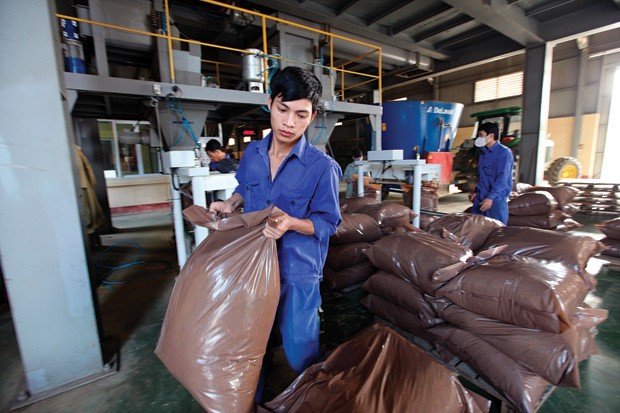 Rộ trào lưu ra nước ngoài thuê đất trồng nguyên liệu thức ăn chăn nuôi