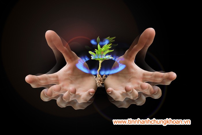 ĐHCĐ DPM: Năm 2015 tiếp tục là năm thách thức ảnh 2