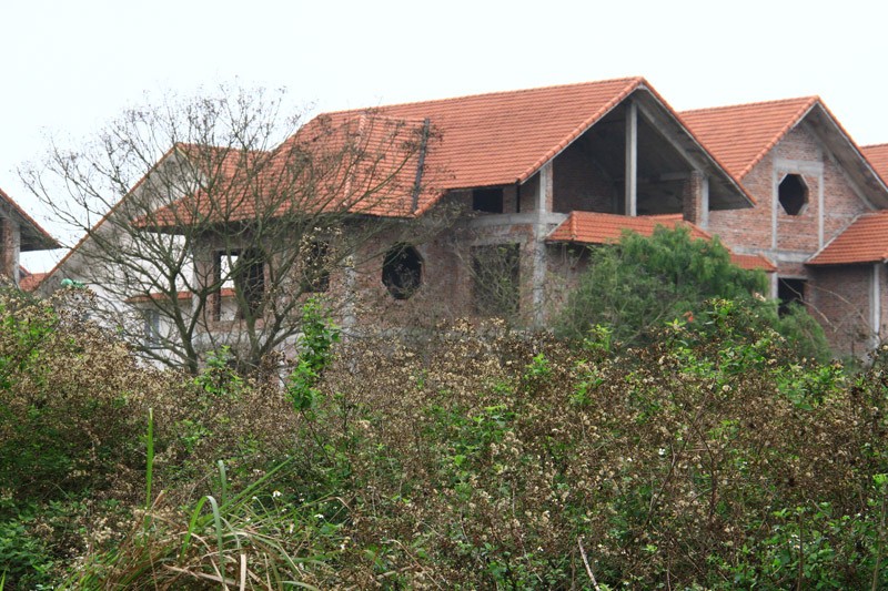 Khu đô thị Quang Minh vắng hơn chùa Bà Đanh ảnh 5