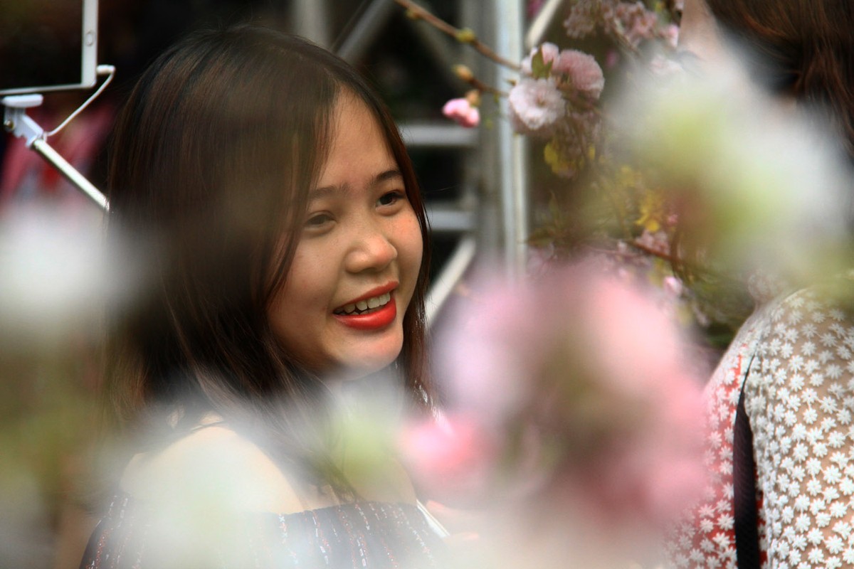 Người Hà Nội “mê tít” hoa Anh đào ảnh 11