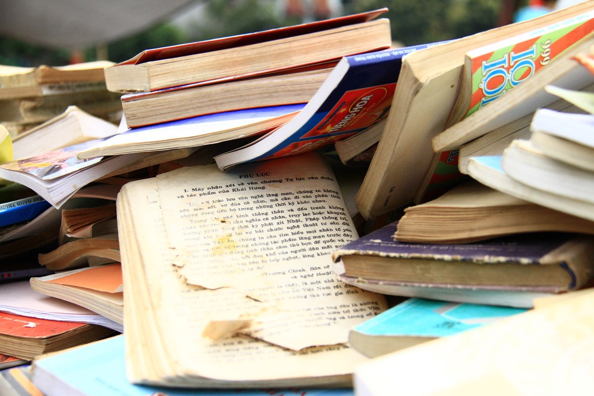 Chợ sách hút khách cuối tuần ảnh 13