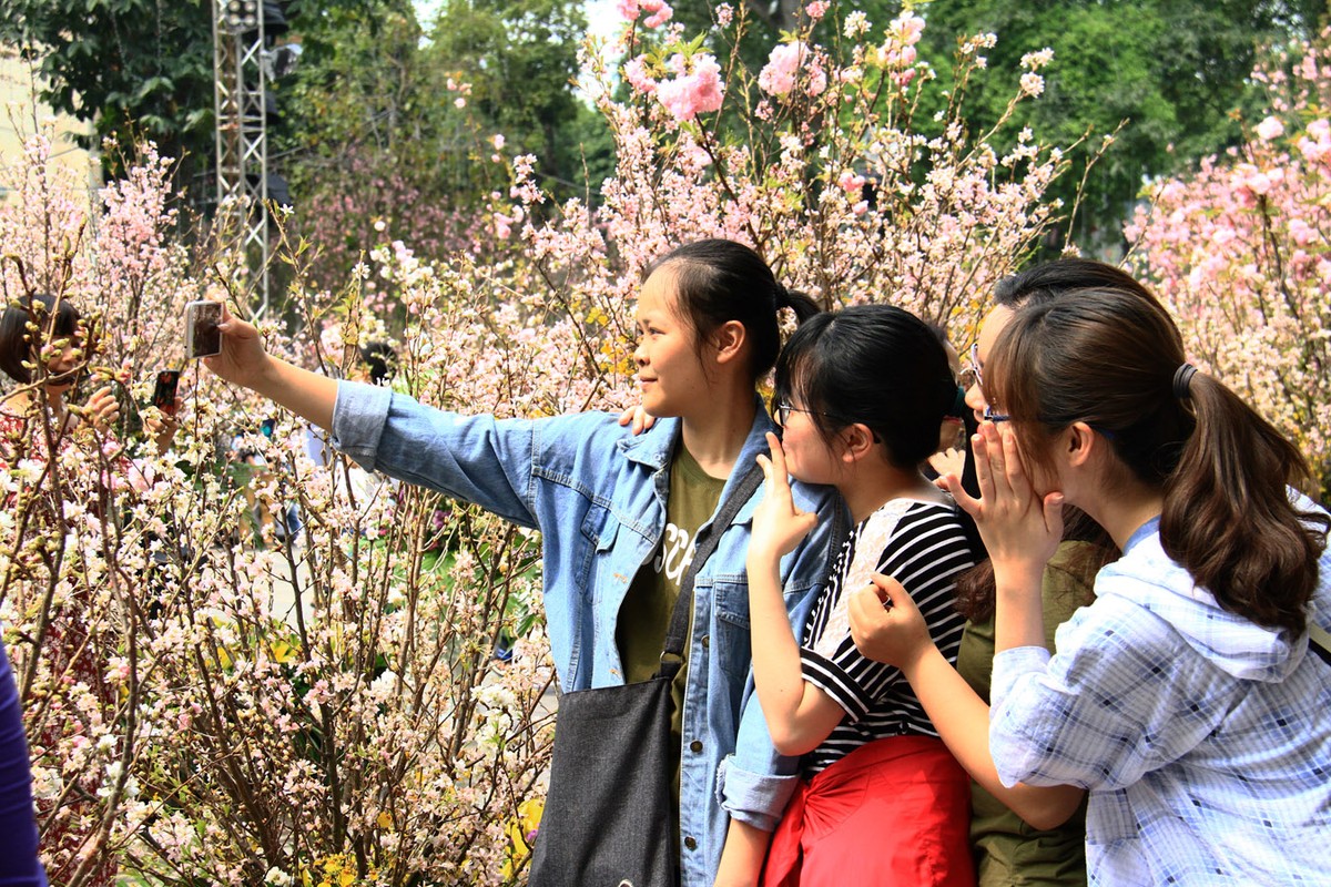 Người Hà Nội “mê tít” hoa Anh đào ảnh 4