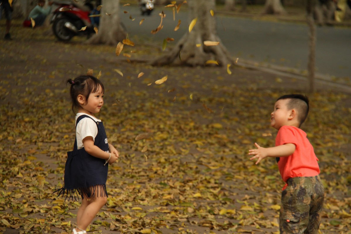 Hà Nội mùa lá đổ ảnh 6