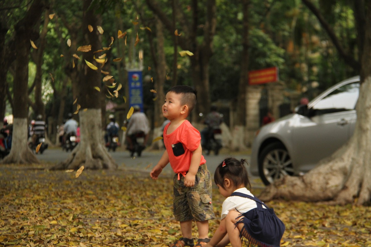 Hà Nội mùa lá đổ ảnh 7