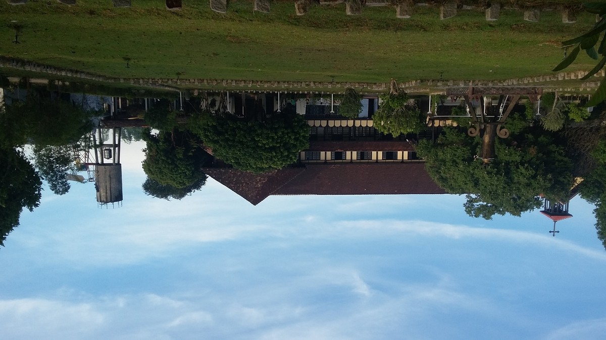 Nhớ Tây Nguyên ảnh 5