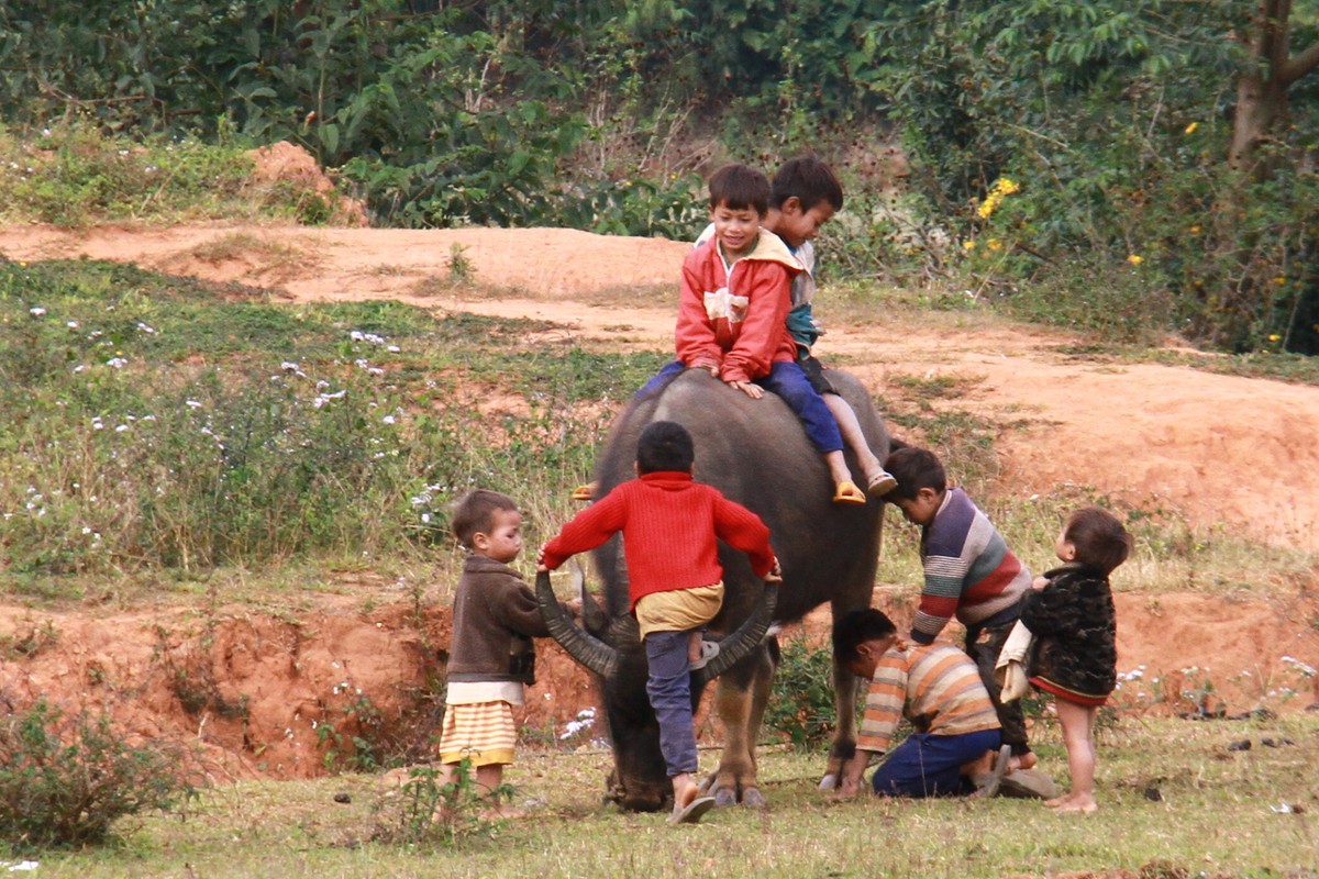 Nhớ Tây Nguyên ảnh 9