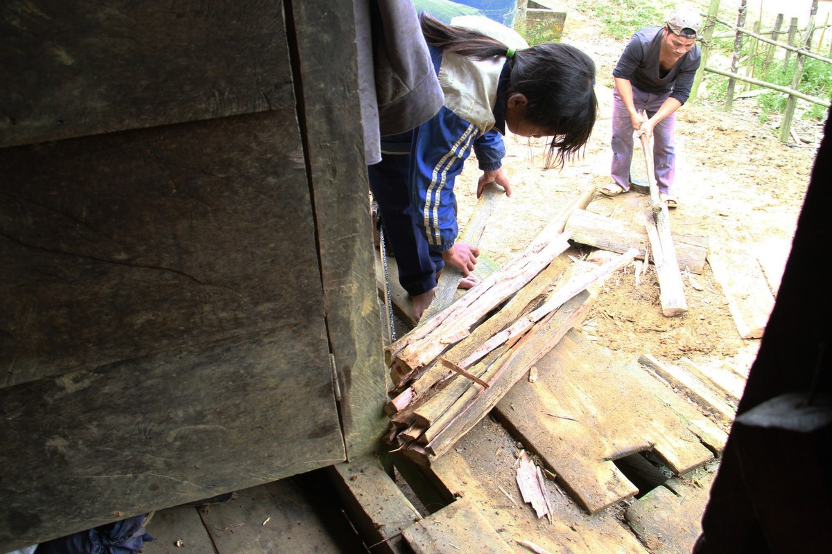 Nhớ Tây Nguyên ảnh 8