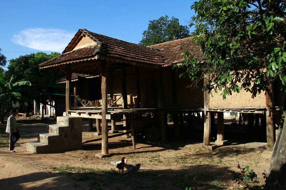 Nhớ Tây Nguyên ảnh 7