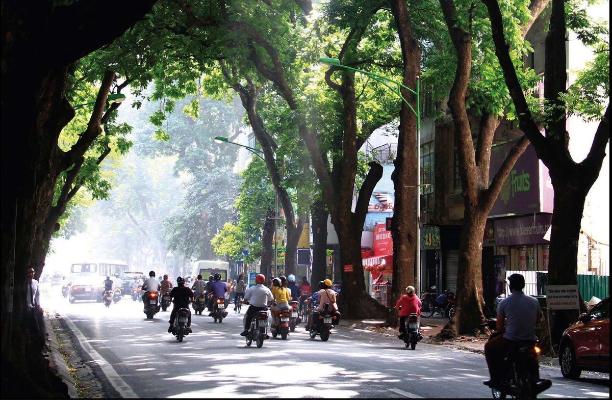 Viết cho mùa Thu ảnh 1