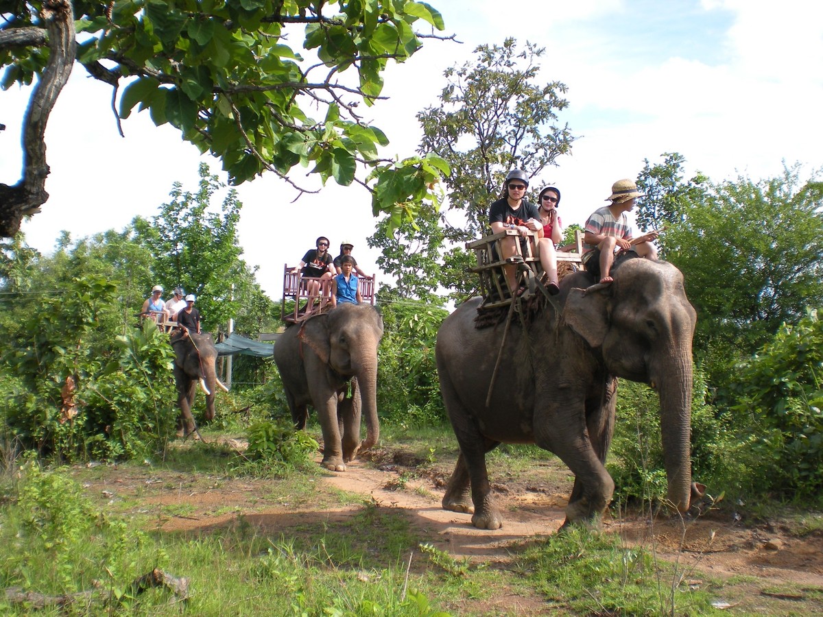 Tây Nguyên, những chuyến đi không dứt ảnh 7