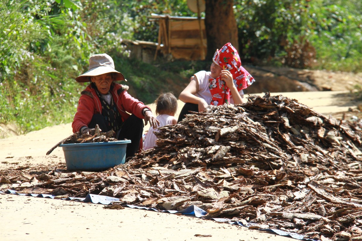 Tây Nguyên, những chuyến đi không dứt ảnh 4