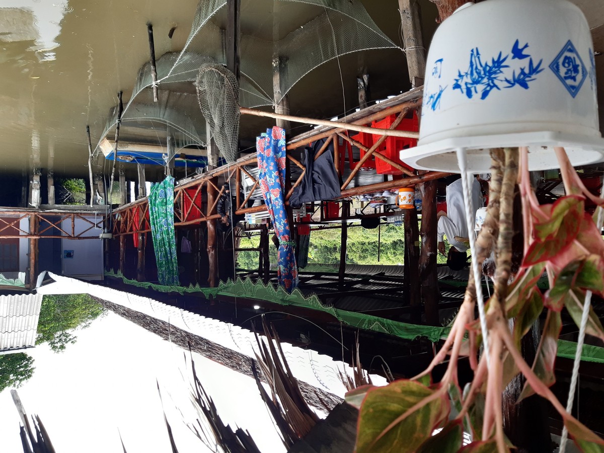 Về Đất Mũi ảnh 12