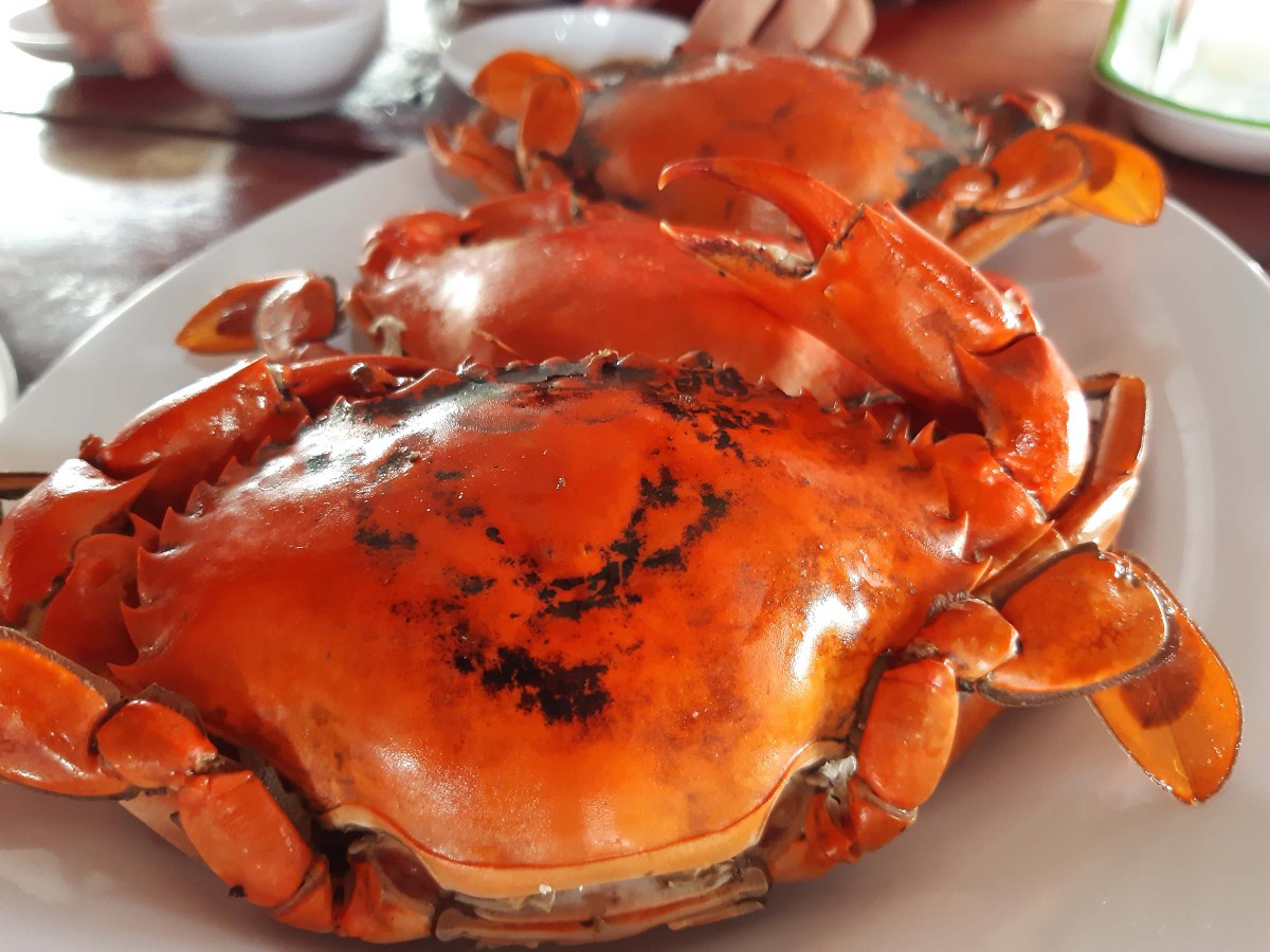 Về Đất Mũi ảnh 13