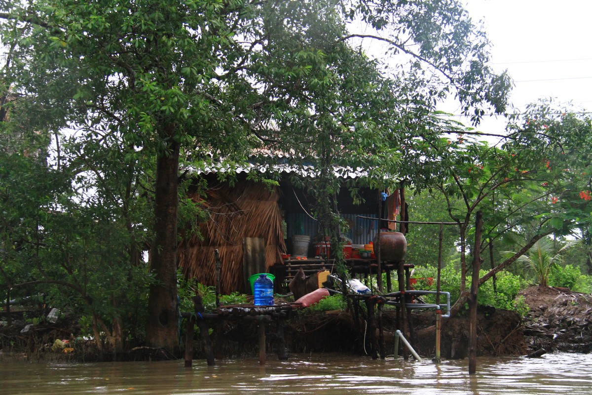 Về Đất Mũi ảnh 14