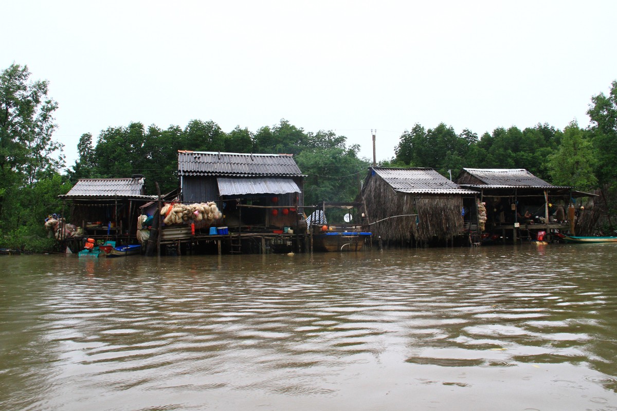 Về Đất Mũi ảnh 7