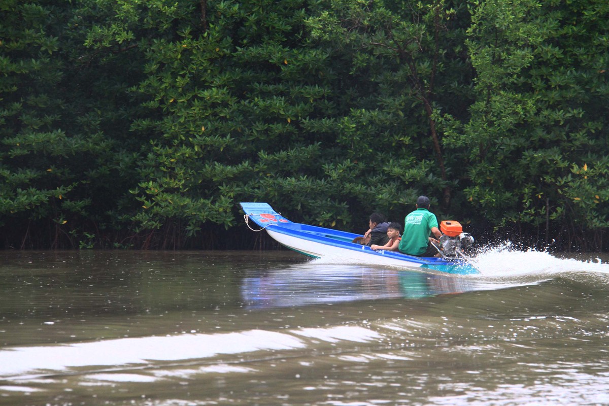 Về Đất Mũi ảnh 15