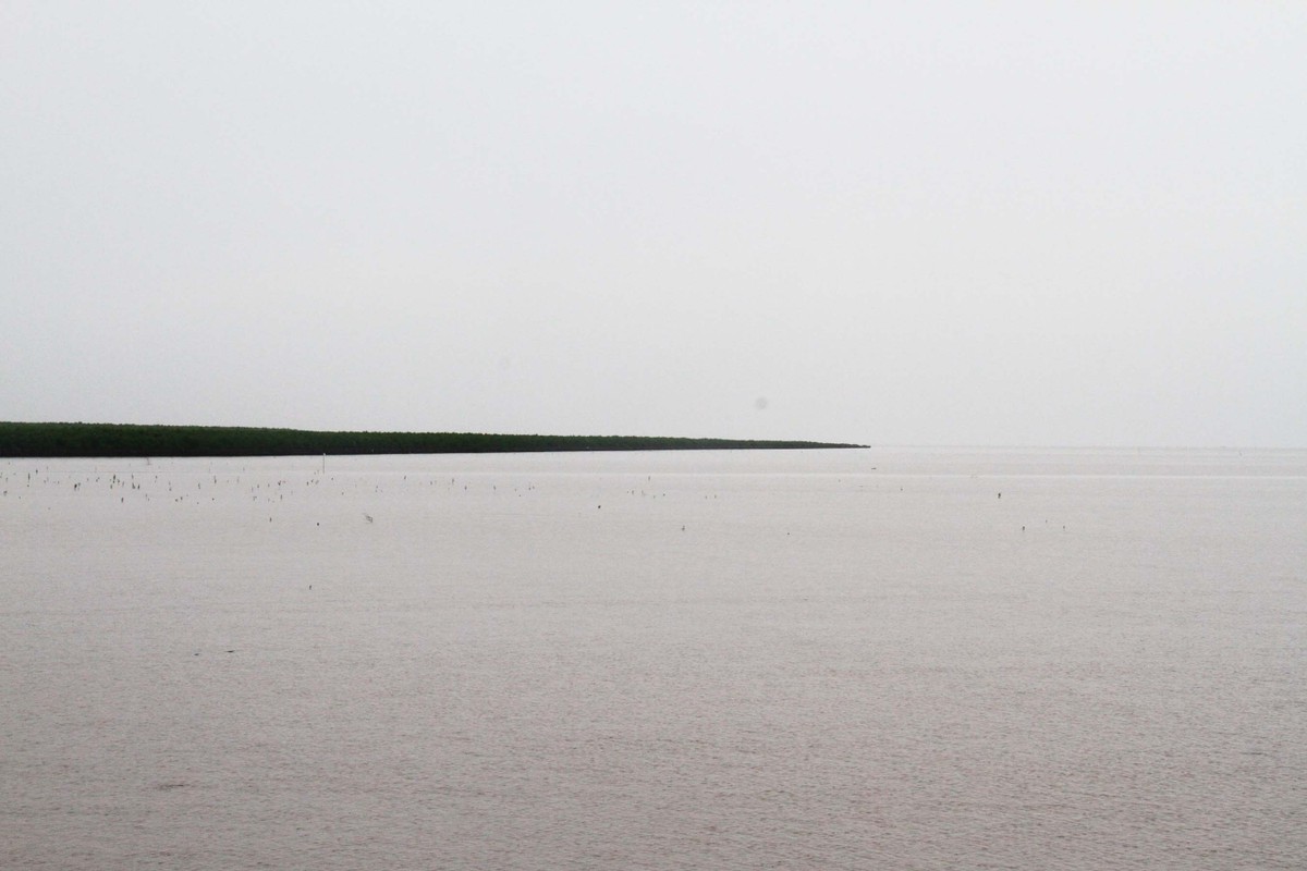 Về Đất Mũi ảnh 8