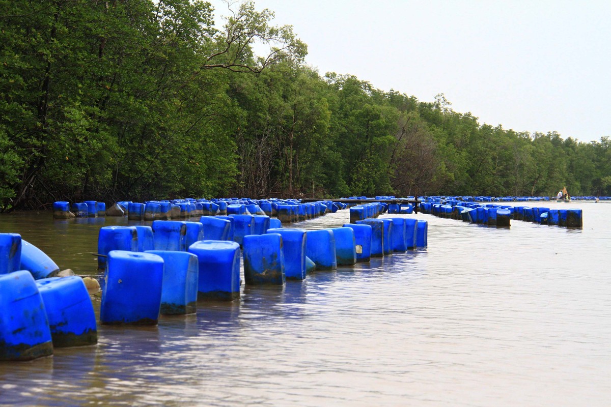 Về Đất Mũi ảnh 10