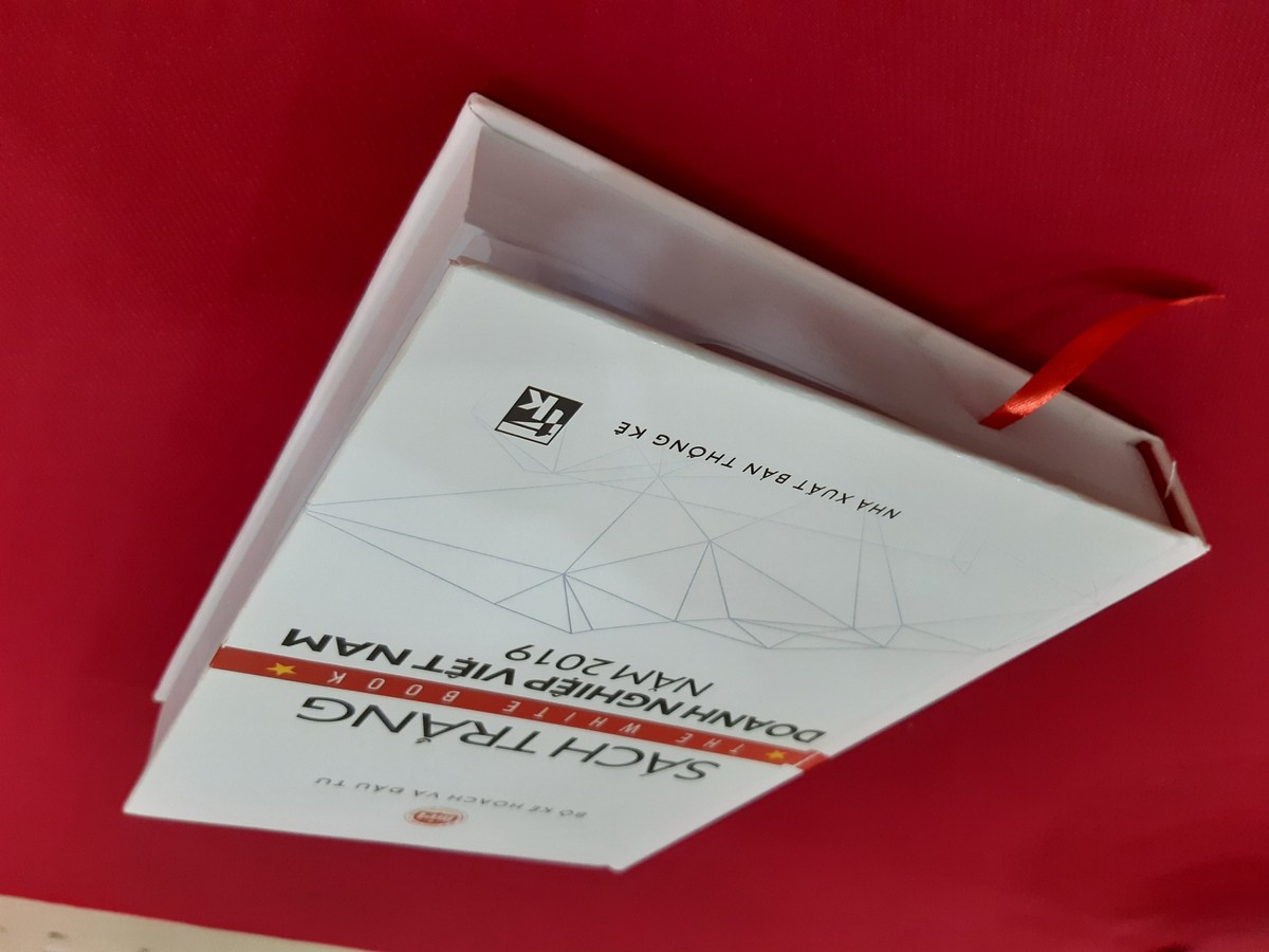 Lần đầu công bố Sách trắng Doanh nghiệp Việt Nam ảnh 1