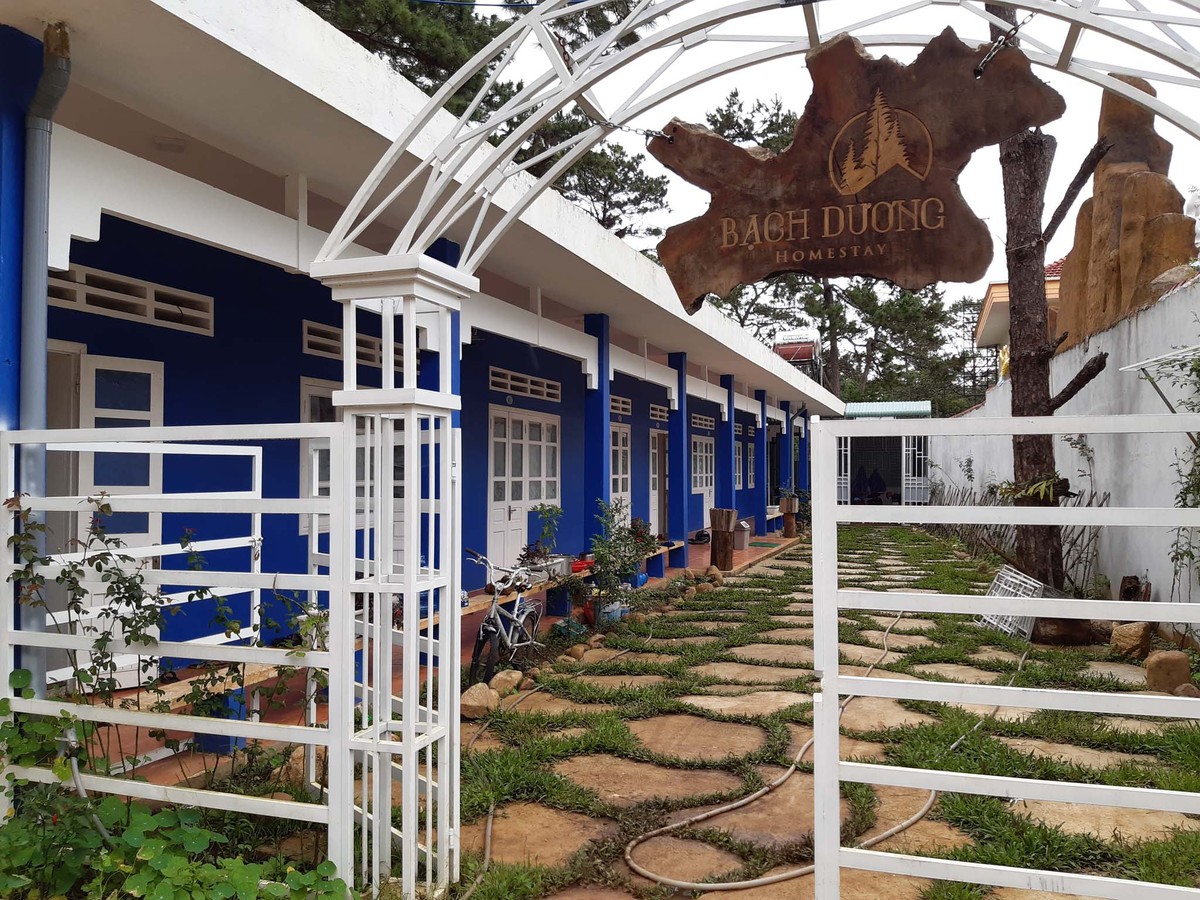 Với Tây Nguyên ảnh 9