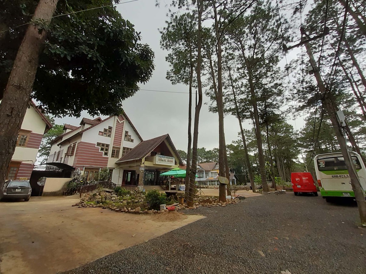 Với Tây Nguyên ảnh 10