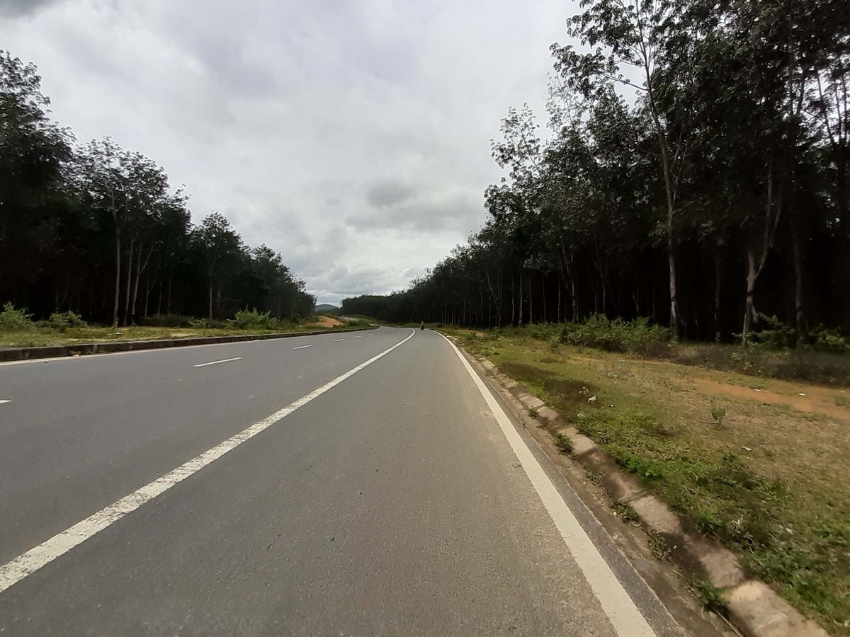 Với Tây Nguyên ảnh 6