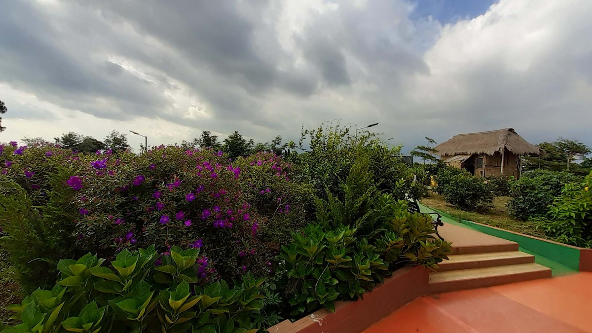 Ngơ ngẩn Tà Đùng! ảnh 4